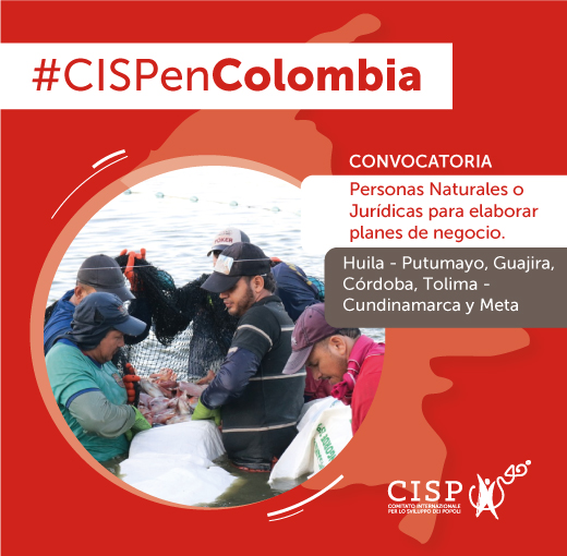 Proceso de contratación para elaboración de planes de negocio - P358